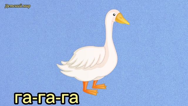 Мои первые слова. Первые слова для малышей. Учим первые слова.