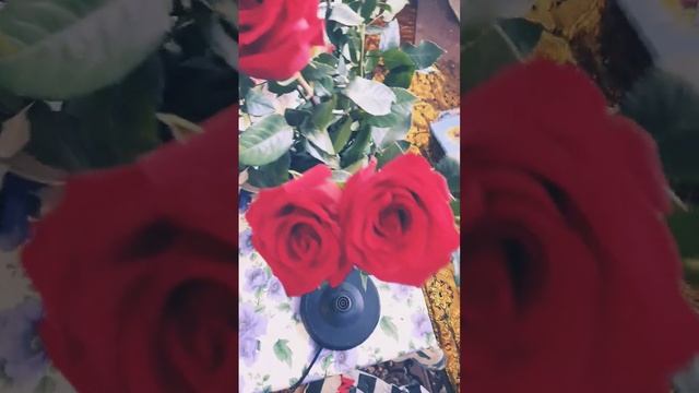 Розы ?, как приятно . Подпишитесь и лайкните под видео ? смотреть онлайн