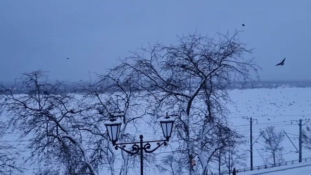 Метель в Перми 17 января 2022 смотреть онлайн