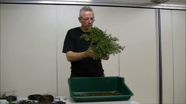 Shohin demonstratie door Alain de Wachter op een Juniperus green carpet смотреть онлайн