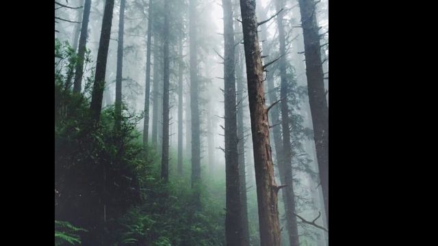 Гель для роста волос. смотреть онлайн