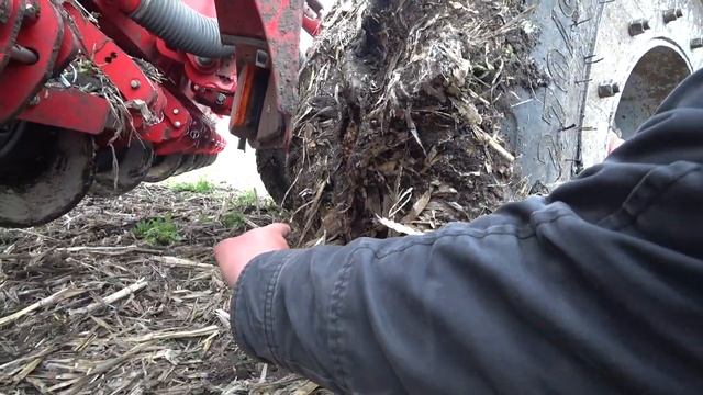 Посев подсолнуха по болоту севалкой HORSCH Maestro 12 CV. смотреть онлайн