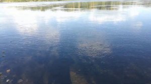 #НОВОКУЗНЕЦК 2018. ПРИРОДА АБАШЕВО, НА РЕКЕ ТОМЬ ОТЛИЧНАЯ ПОГОДА.NOVOKUZNETSK 2018,RIVER TOM