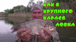 Как я крупного карася ловил.mp4