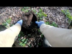 Хоть из земли, но воняет говн...щем