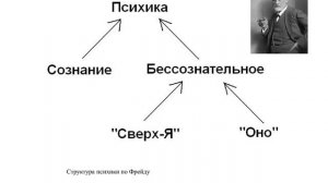 Антропология  что такое человек и откуда он взялся