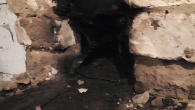 МОНТАЖ ГАЗОВОГО КОТЛА СВОИМИ РУКАМИ. 20 серия Из города в деревню. смотреть онлайн