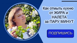 Как отмыть кухню от ЖИРА и НАЛЕТА за ПАРУ МИНУТ