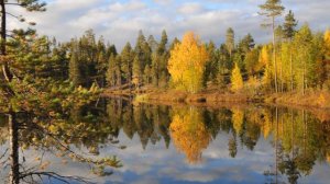 Зашеек Карелия / зашеек лоухский район