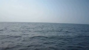 Казанка5М3, Хонда 50 и Тендровская коса !