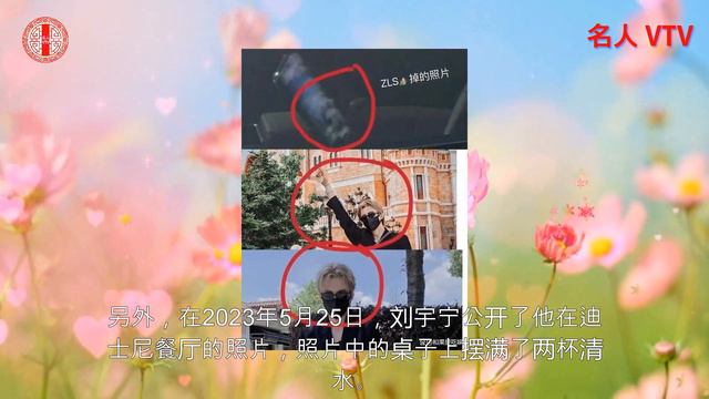 赵露思刘宇宁恋情曝光