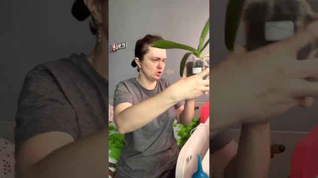 Что происходит на карантине?