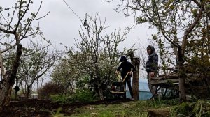 19/04/2022. Рубрика сельское хозяйство | Вспашка земли в садах | Texas Lilli 532 TG 2005.