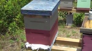 Дон о щавелевой кислоте