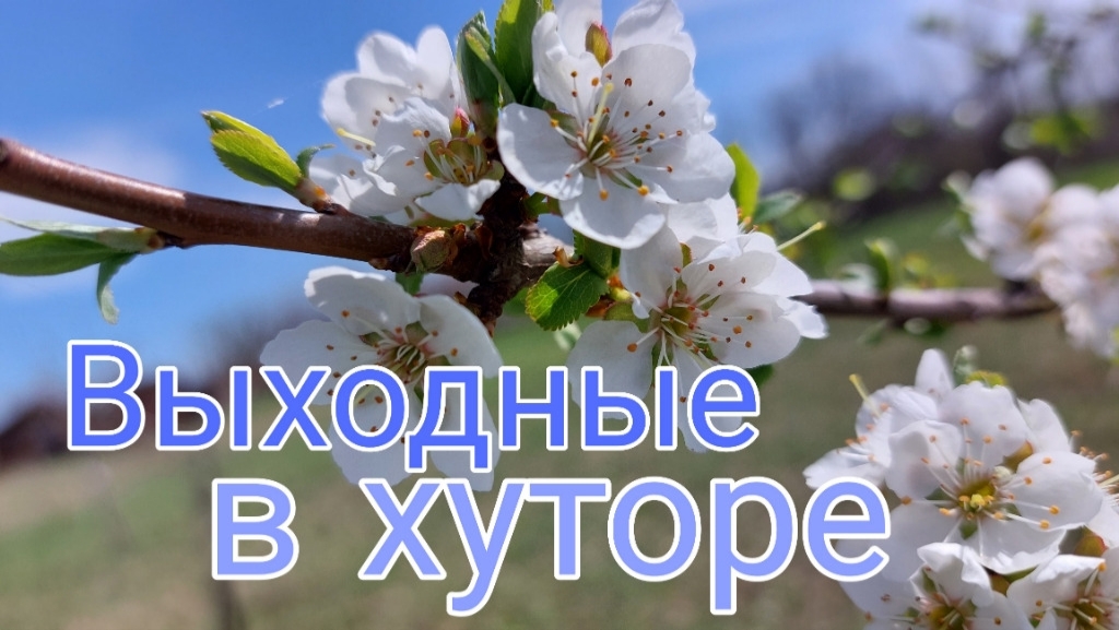 Выходные в хуторе.
