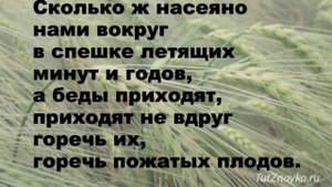 христианские караоке "жатва (что мы посеем, то и пожнем) "