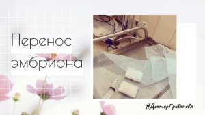 Перенос эмбриона