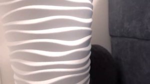 24 часа ЧЕЛЛЕНДЖ Ухаживаю за КОТЁНКОМ Мой ДЕНЬ с питомцем My little Nastya