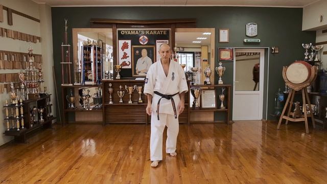 Учебно-методическое пособие для тренеров-преподавателей киокушинкай каратэ Часть 3 смотреть онлайн