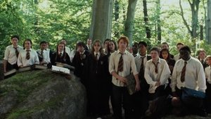 Гарри Поттер на уроке у Хагрида / Гарри Поттер летает на гиппогрифе / Гарри Поттер и узник Азкабана