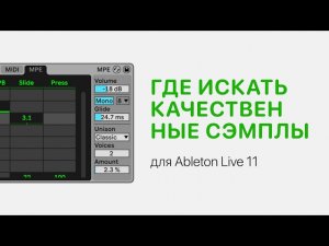 Где искать качественные сэмплы для Ableton Live 11 [Ableton Pro Help]