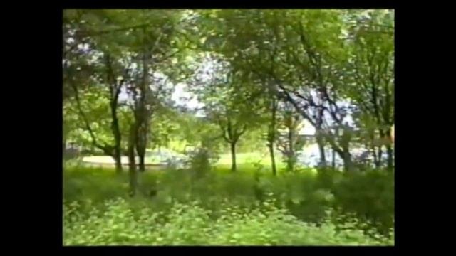 Дороховский стекольный завод. Разрушение кирпичной трубы высотой 50м 1926года постройки.