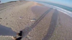 Bluefish луфарь