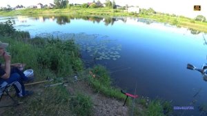 Река Уводь #ЗААШАНЬЕ. Видео с четырех рыбалок. Рыбалка 2020.