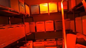 Как зимовать в омшанике или зимовнике в ульях ППС и ППУ.