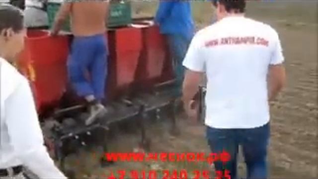 сажалка для чеснока и технологии возделывания чеснока