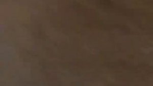 Спроси у жизни