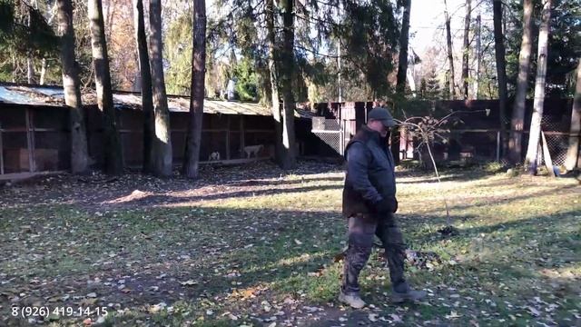 Типичные ошибки легашатников смотреть онлайн