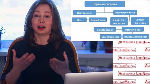 Все ОГЭ биология 2018 за 7 уроков. 5.1/7 смотреть онлайн