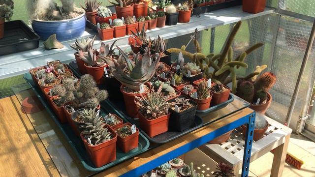 The Inbetweener! смотреть онлайн