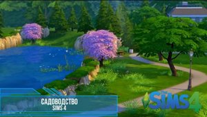 Sims 4 Садоводство ч. 1 Simsyapedia #8