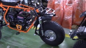 Сравнение трициклов Тритон 2х разных комплектаций.