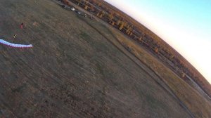 Полярная сова