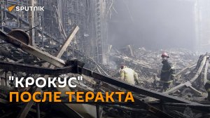 "Крокус" после теракта: более 100 спасателей ищут выживших под завалами