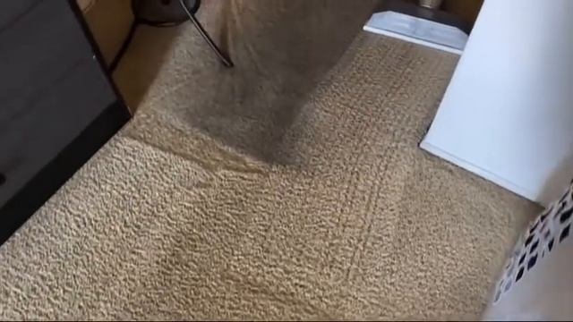 химчистка ковролина смотреть онлайн