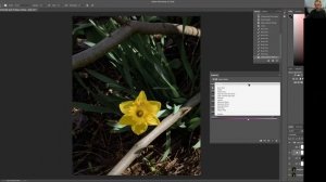 Color Correction in Photoshop Using Actions