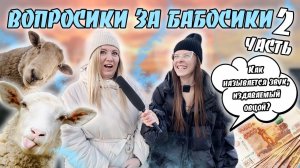 ВОПРОСИКИ ЗА БАБОСИКИ?|ЧАСТЬ 2