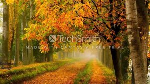 Gia Kancheli yellow leaves.. Гия Канчели желтые листья.. გია ყანჩელი ყვითელი ფოთლები