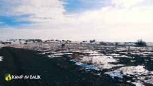 KARDA MUHTEŞEM YABAN DOMUZU AVI- WILD BOAR HUNTING IN WINTER- HOG HUNTS- PIG HUNTER- WILD LIFE