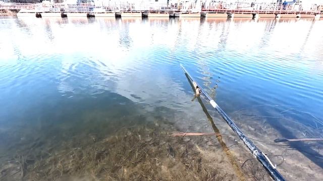 Рыбалка на поплавок 27 ноября 2023 г.Дикий жор окуня на поплавок на реке!Закрытие сезона 2023-24! смотреть онлайн