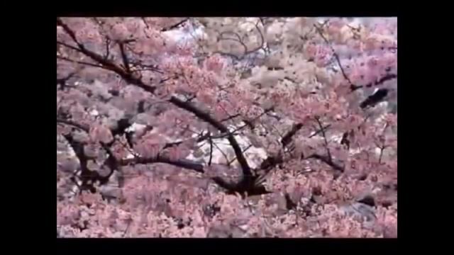 Шум чтоб печали ушли , а деньги пришли ! Шум Андрея Дуйко смотреть онлайн