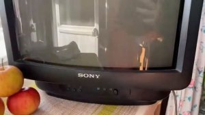 Телевизор Sony Trinitron KV-M1400 K