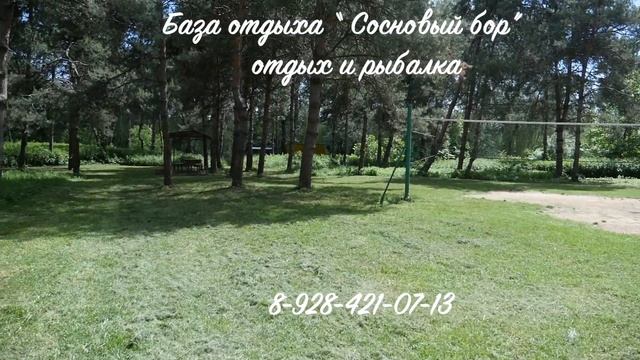 База отдыха "Сосновый бор" с. Новоалексеевское