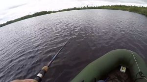 Ямал! Там ,где волки..... боятся ! А с друзьями не страшно!!! Северная рыбалка!