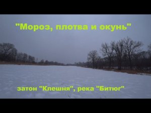 "Мороз, плотва и окунь", затон "Клешня", река "Битюг". (Нашел стаи карася).