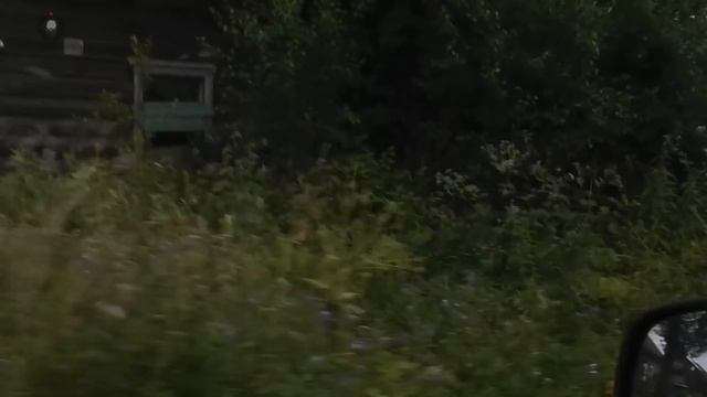 Сёла леса. Как живут и вымирают тверские деревни смотреть онлайн